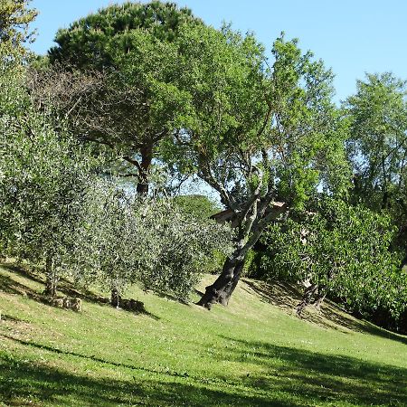 Santa Maria Della Pace Bed and Breakfast Montespertoli Exterior foto