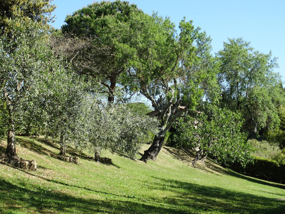 Santa Maria Della Pace Bed and Breakfast Montespertoli Exterior foto