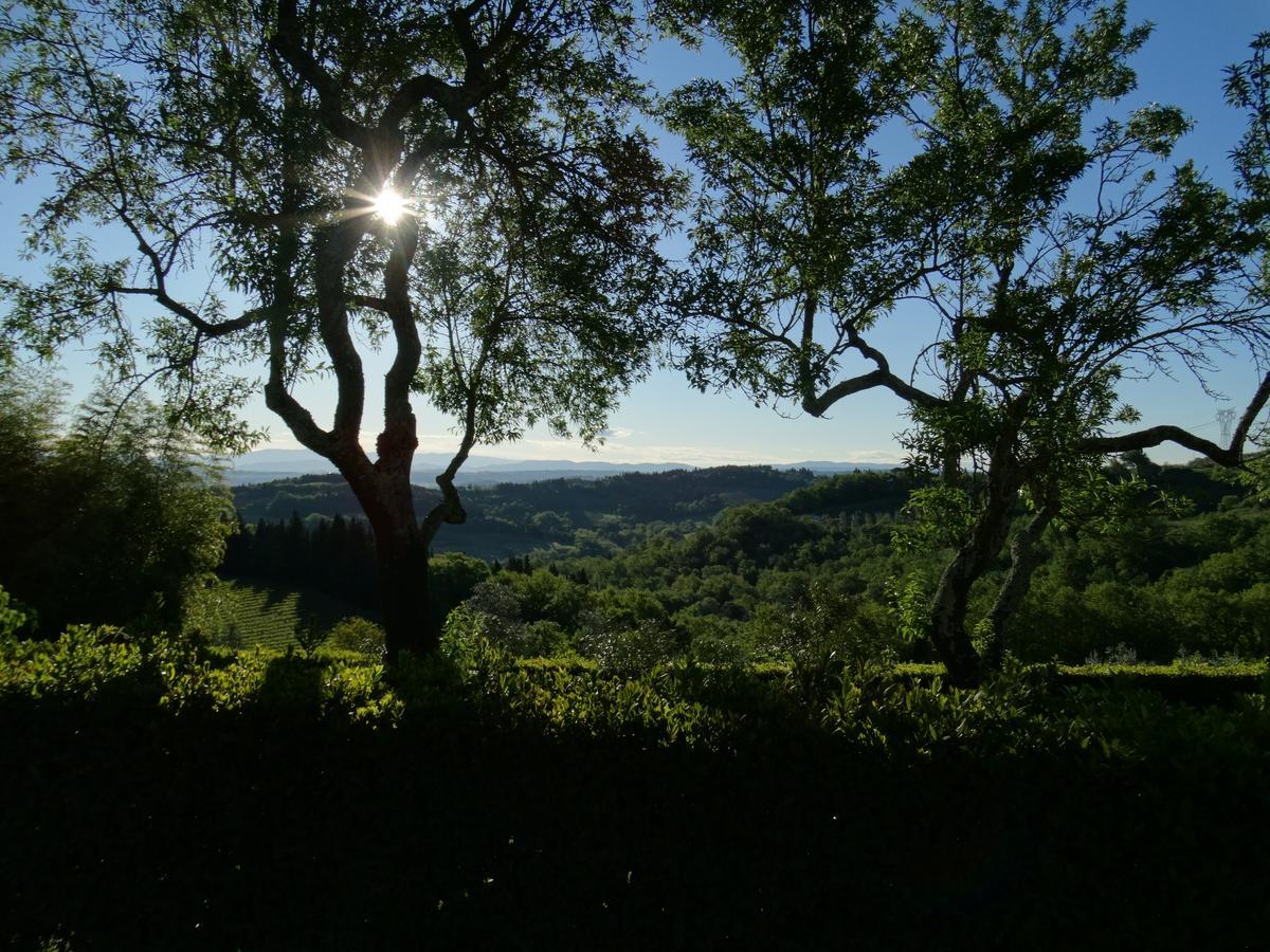Santa Maria Della Pace Bed and Breakfast Montespertoli Exterior foto